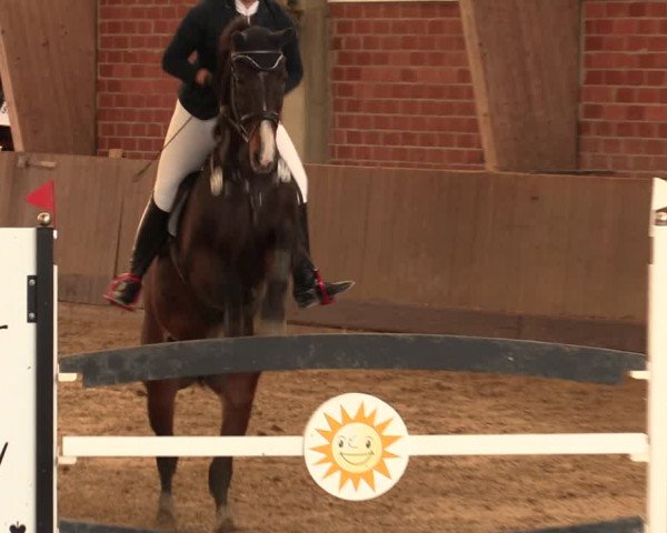 Reitturnier Hüllhorst 2018