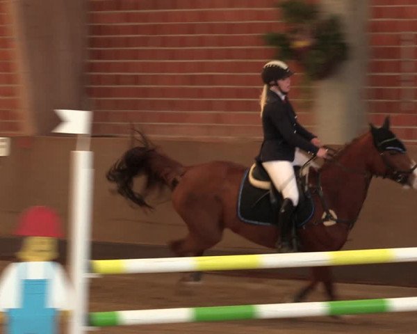 Reitturnier Hüllhorst 2018