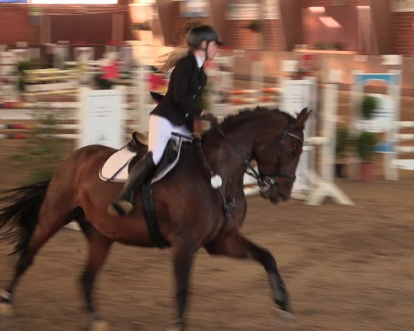 Reitturnier Hüllhorst 2018