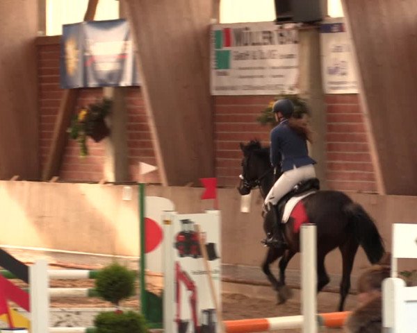 Reitturnier Hüllhorst 2018