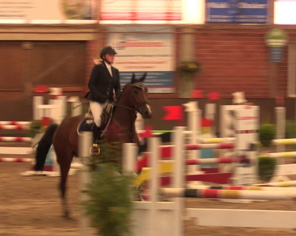 Reitturnier Hüllhorst 2018