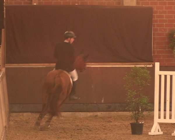 Reitturnier Hüllhorst 2018