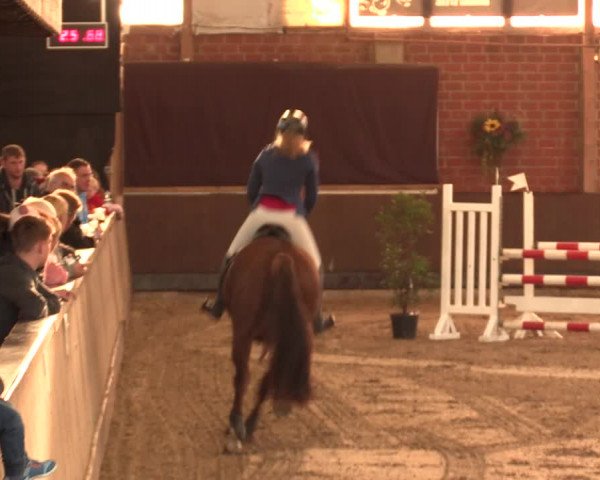 Reitturnier Hüllhorst 2018