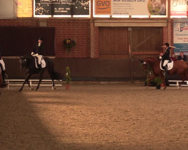 Reitturnier Hüllhorst 2018