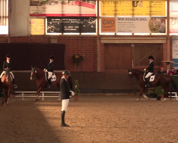 Reitturnier Hüllhorst 2018