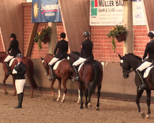 Reitturnier Hüllhorst 2018