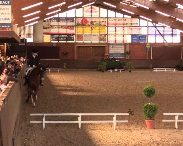 Reitturnier Hüllhorst 2018