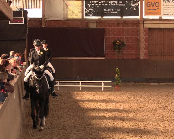 Reitturnier Hüllhorst 2018