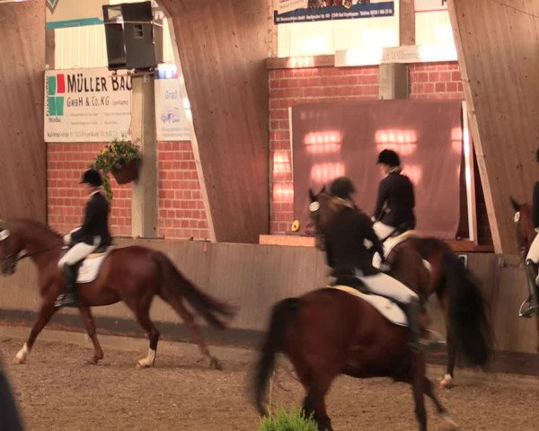 Reitturnier Hüllhorst 2018