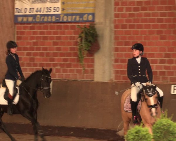 Reitturnier Hüllhorst 2018
