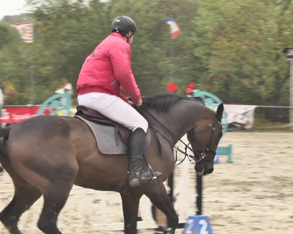 Reitturnier Neunkirchen-City 2018