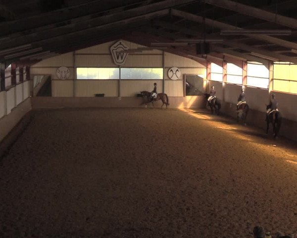 Reitturnier Lüdinghausen-Westrup 2018
