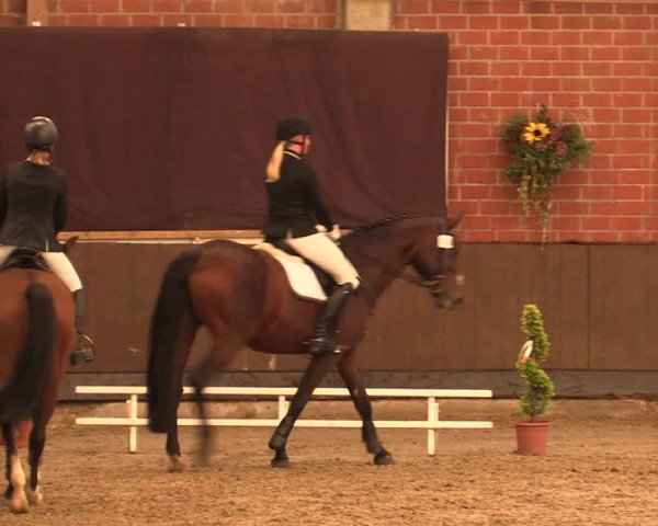 Reitturnier Hüllhorst 2018
