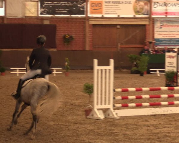 Reitturnier Hüllhorst 2018