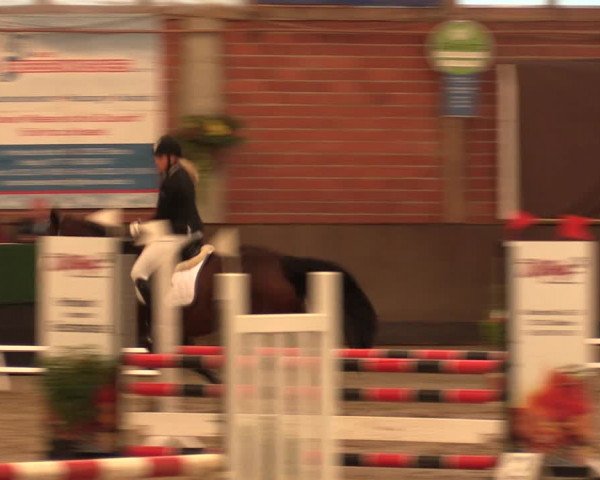 Reitturnier Hüllhorst 2018