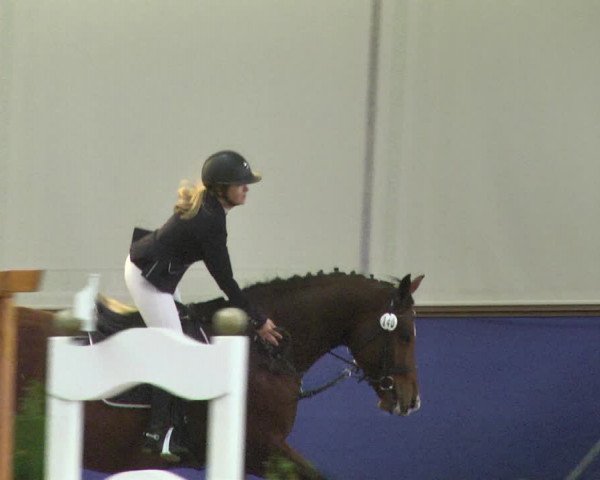 Reitturnier Trier - Hofgut Monaise / Halle 2018