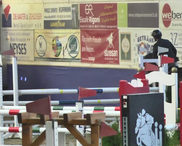 Reitturnier Trier - Hofgut Monaise / Halle 2018