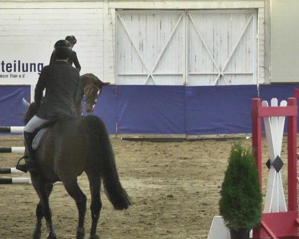 Reitturnier Trier - Hofgut Monaise / Halle 2018