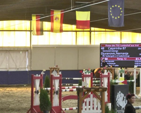 Reitturnier Trier - Hofgut Monaise / Halle 2018