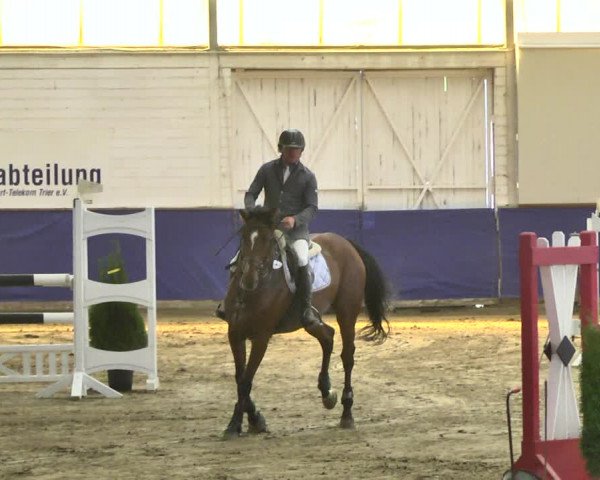 Reitturnier Trier - Hofgut Monaise / Halle 2018