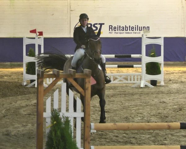 Reitturnier Trier - Hofgut Monaise / Halle 2018