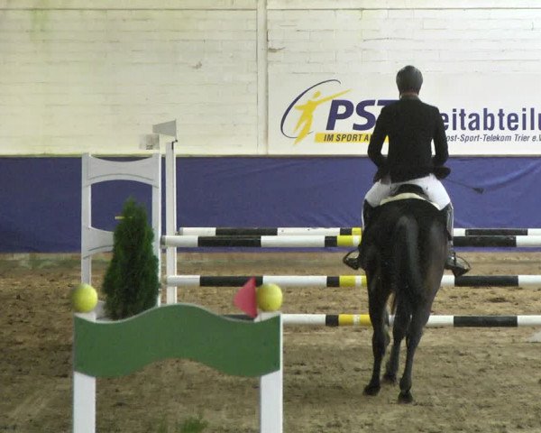 Reitturnier Trier - Hofgut Monaise / Halle 2018