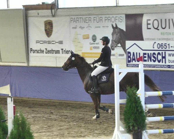 Reitturnier Trier - Hofgut Monaise / Halle 2018