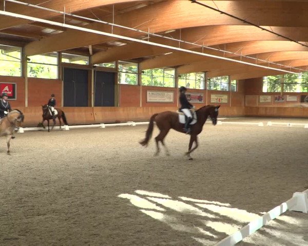 Reitturnier Mönchengladbach-Wickrath 2018