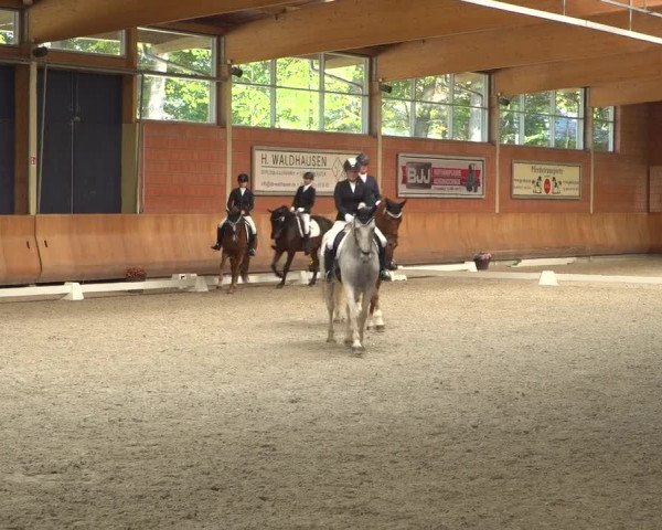 Reitturnier Mönchengladbach-Wickrath 2018