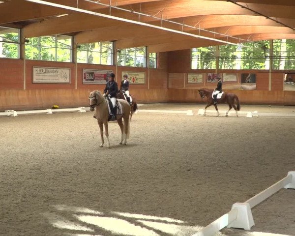 Reitturnier Mönchengladbach-Wickrath 2018