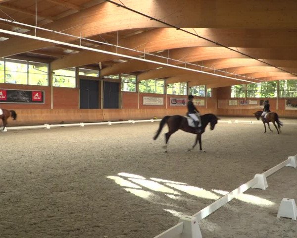 Reitturnier Mönchengladbach-Wickrath 2018