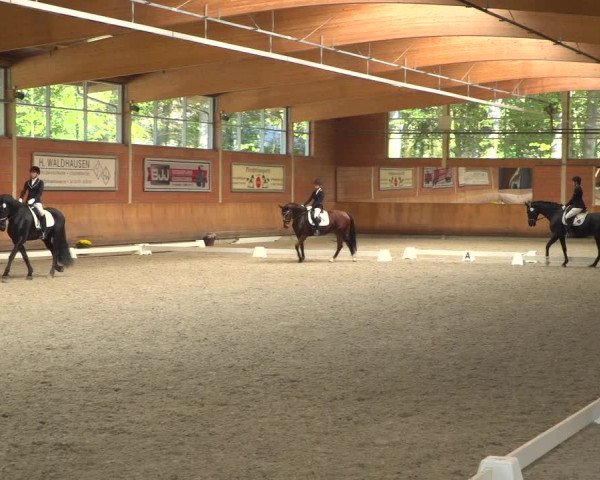 Reitturnier Mönchengladbach-Wickrath 2018