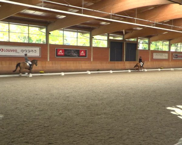 Reitturnier Mönchengladbach-Wickrath 2018
