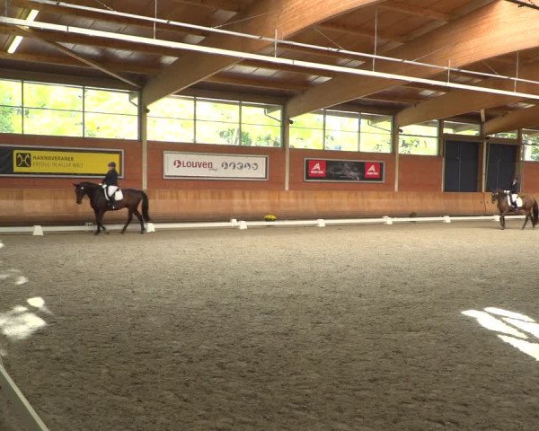 Reitturnier Mönchengladbach-Wickrath 2018