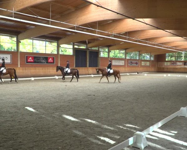 Reitturnier Mönchengladbach-Wickrath 2018