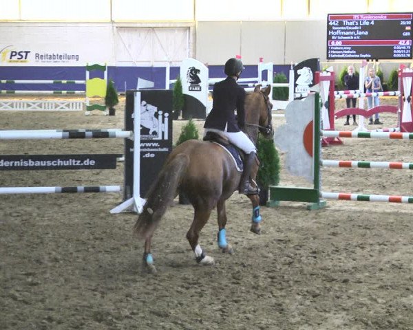 Reitturnier Trier - Hofgut Monaise / Halle 2018