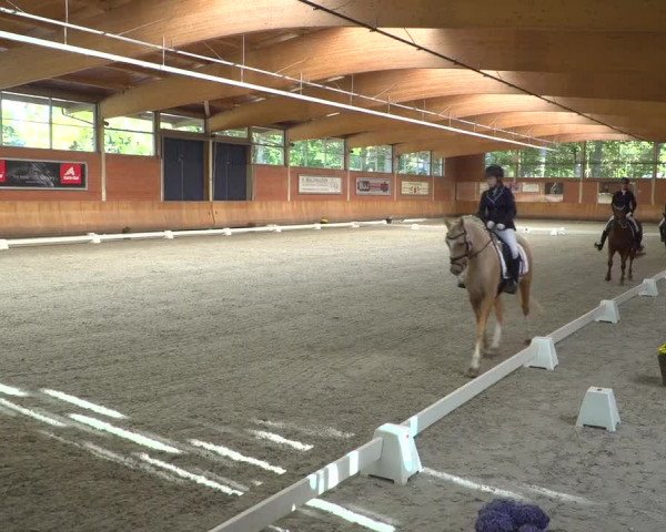Reitturnier Mönchengladbach-Wickrath 2018