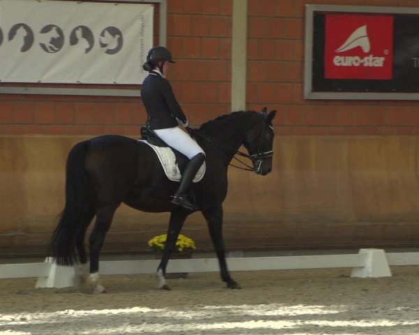 Reitturnier Mönchengladbach-Wickrath 2018