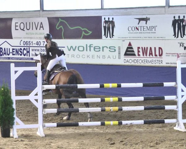 Reitturnier Trier - Hofgut Monaise / Halle 2018