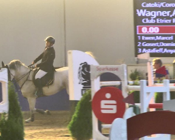 Reitturnier Trier - Hofgut Monaise / Halle 2018