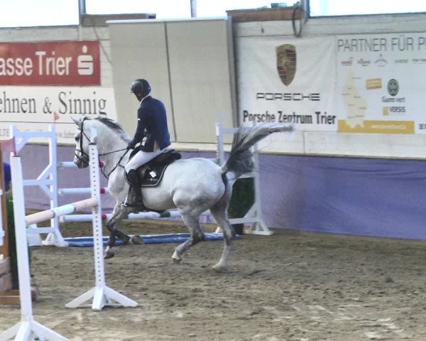 Reitturnier Trier - Hofgut Monaise / Halle 2018
