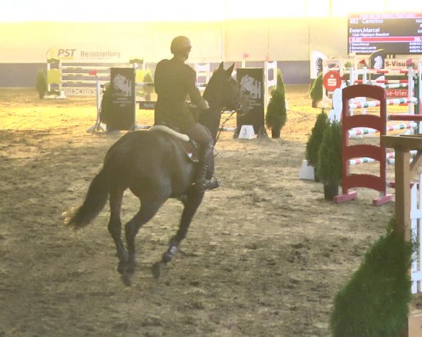 Reitturnier Trier - Hofgut Monaise / Halle 2018