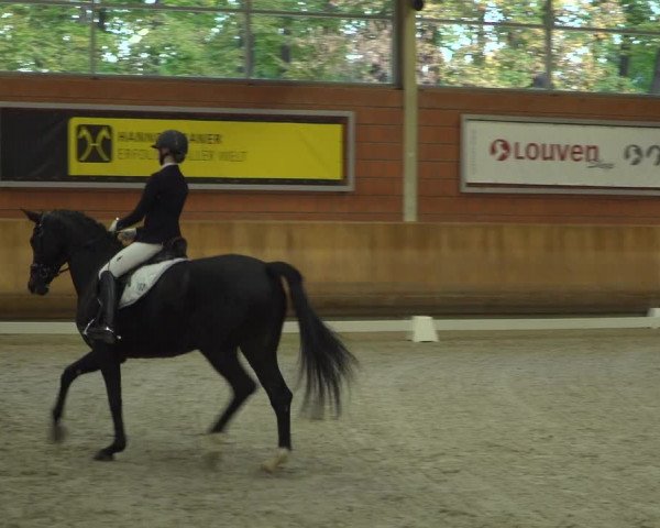 Reitturnier Mönchengladbach-Wickrath 2018