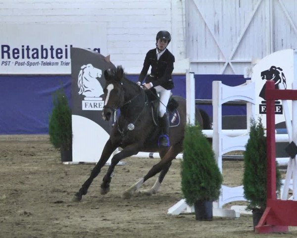 Reitturnier Trier - Hofgut Monaise / Halle 2018
