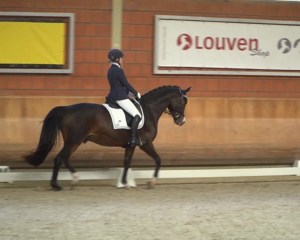 Reitturnier Mönchengladbach-Wickrath 2018