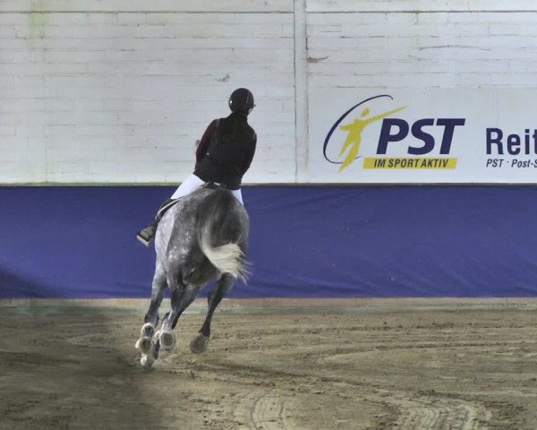 Reitturnier Trier - Hofgut Monaise / Halle 2018