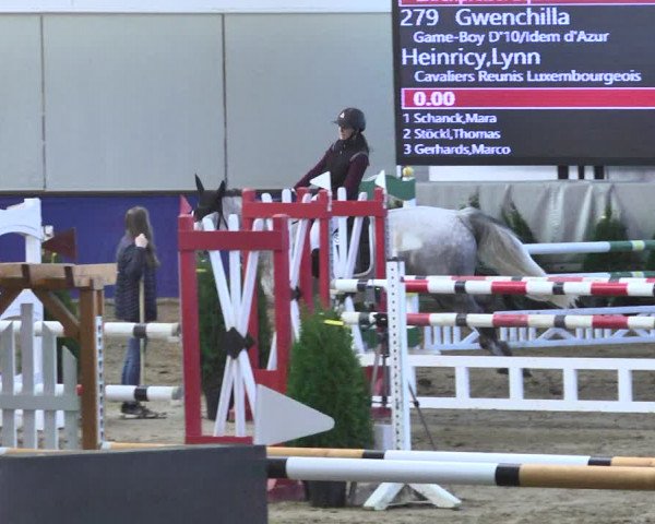 Reitturnier Trier - Hofgut Monaise / Halle 2018