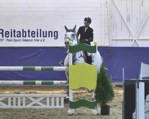 Reitturnier Trier - Hofgut Monaise / Halle 2018