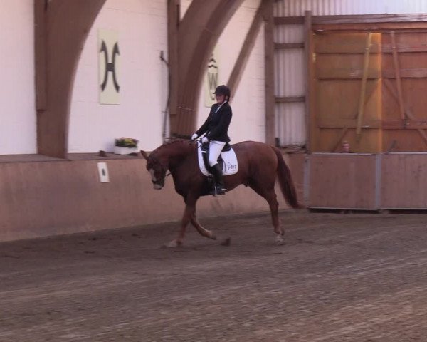 Reitturnier Kellinghusen 2018