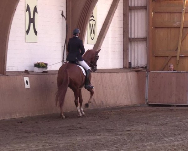 Reitturnier Kellinghusen 2018